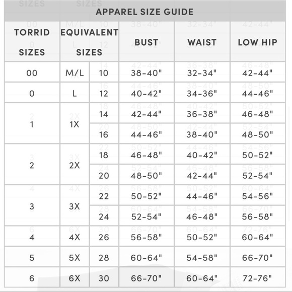 TORRID NWT WEBS & BATS MESH BODYSUIT - HALLOWEEN - Picture 5 of 5